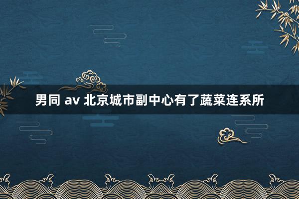 男同 av 北京城市副中心有了蔬菜连系所