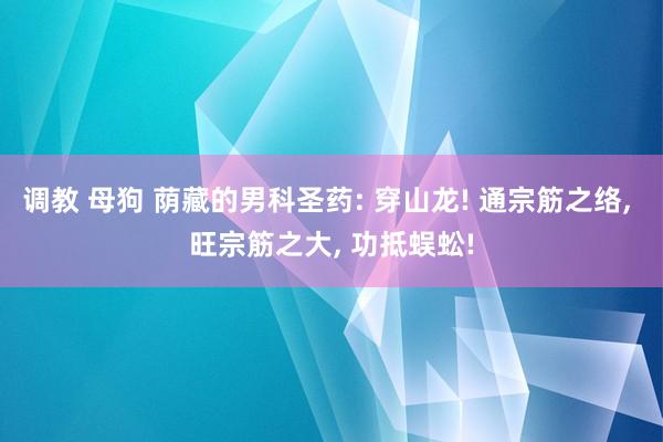 调教 母狗 荫藏的男科圣药: 穿山龙! 通宗筋之络， 旺宗筋之大， 功抵蜈蚣!