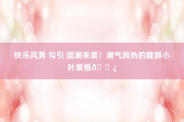 快乐风男 勾引 国潮来袭！潮气闹热的醒狮小叶紫檀📿
