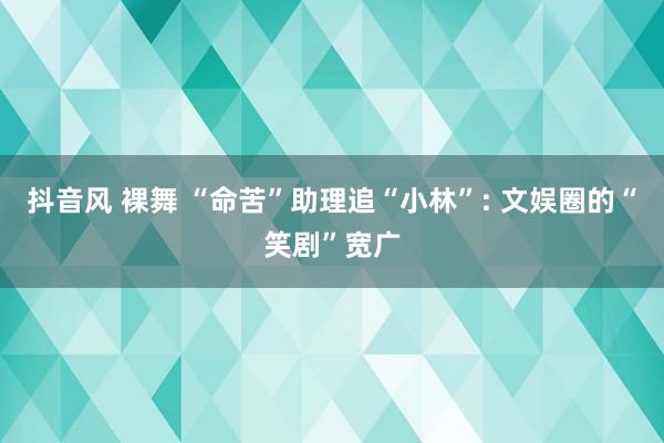 抖音风 裸舞 “命苦”助理追“小林”: 文娱圈的“笑剧”宽广